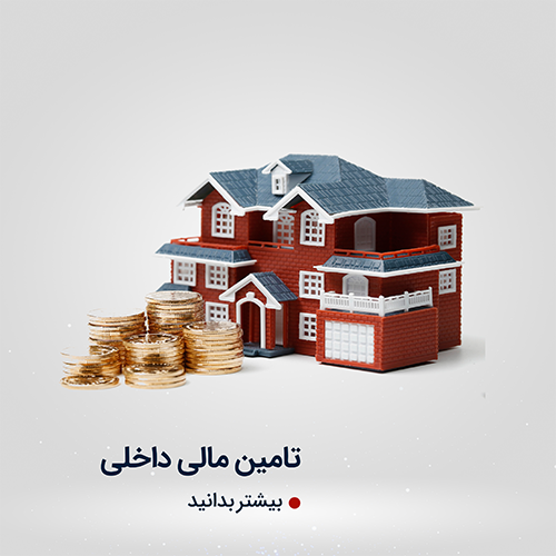 تأمین مالی داخلی